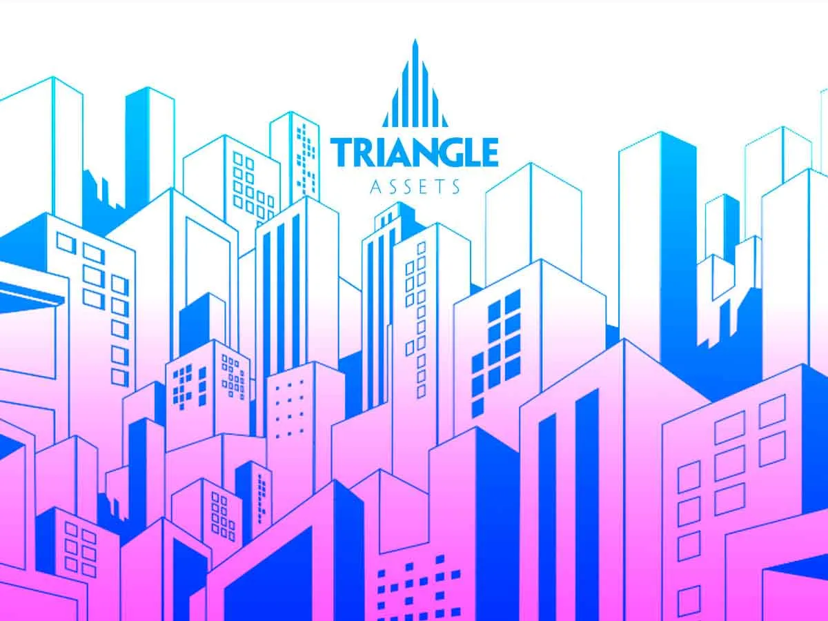 Triangle Assets